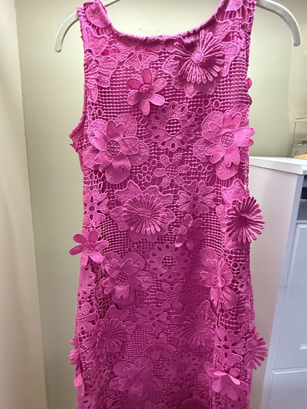 Nina Leonard Scoop Neck Crochet Lace Sheath Dress, S Pink.